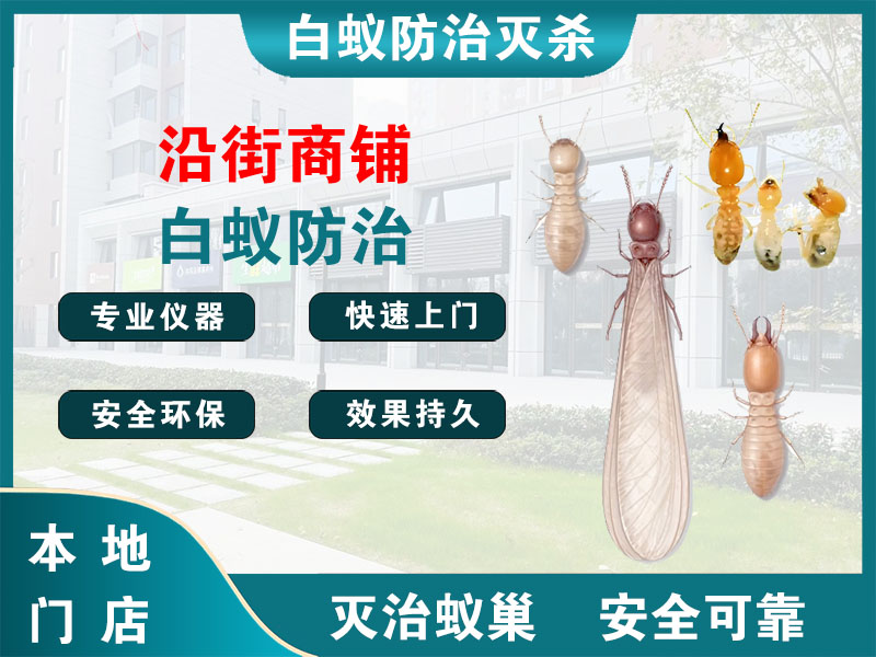 德清沿街商铺白蚁防治