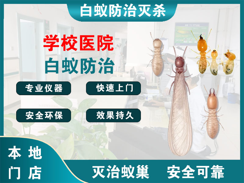 德清学校医院白蚁防治