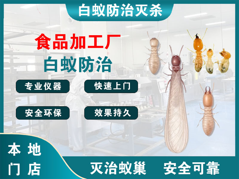 德清食品加工厂白蚁防治