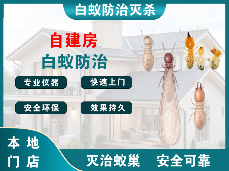 德清自建房白蚁防治
