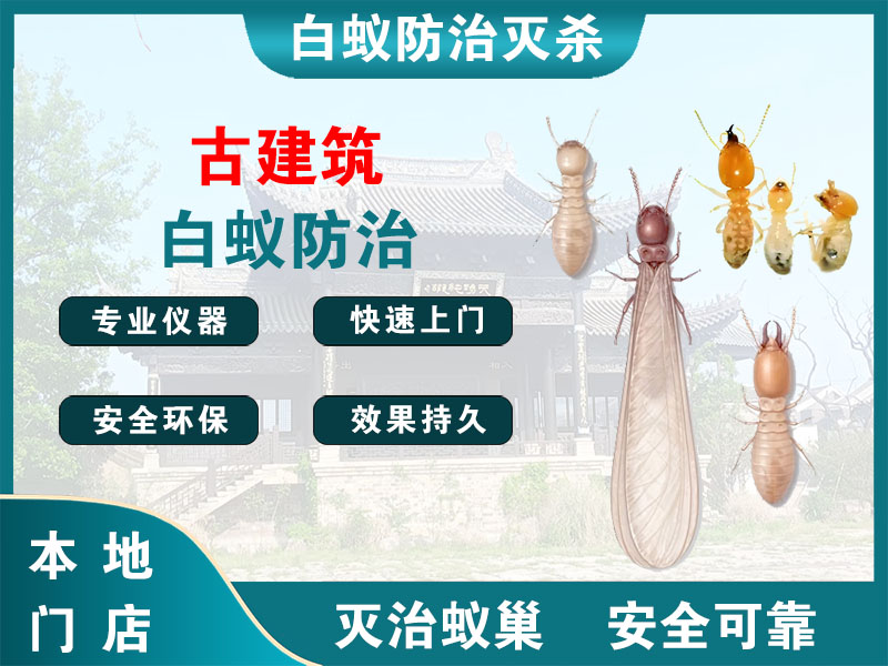 德清古建筑白蚁防治