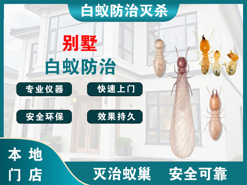德清别墅白蚁防治
