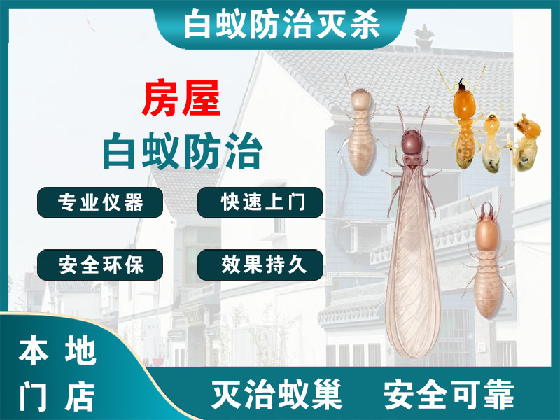 德清房屋白蚁防治